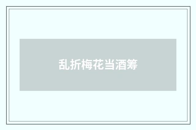 乱折梅花当酒筹