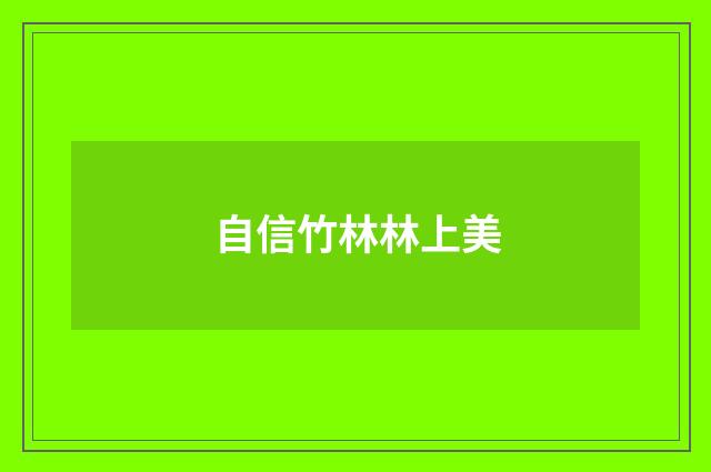 自信竹林林上美