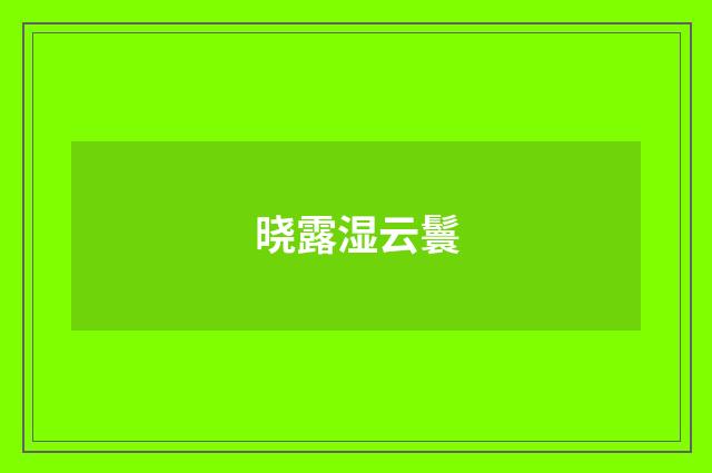 晓露湿云鬟
