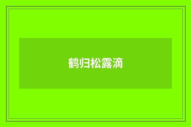 鹤归松露滴