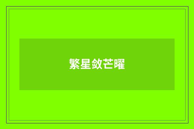 繁星敛芒曜