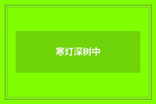 寒灯深树中