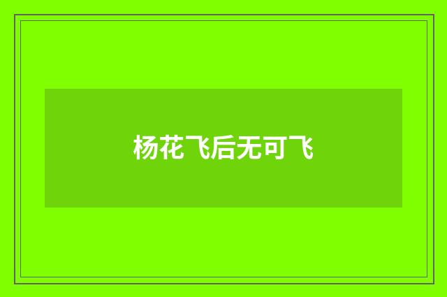 杨花飞后无可飞