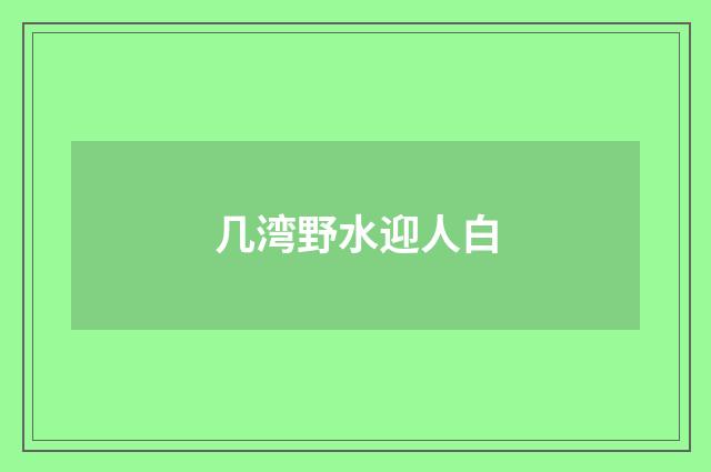 几湾野水迎人白