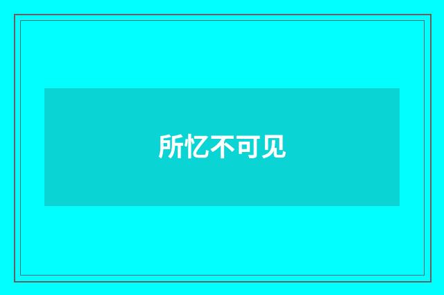 所忆不可见