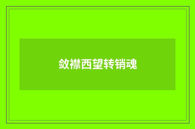 敛襟西望转销魂