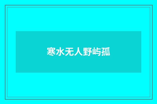 寒水无人野屿孤