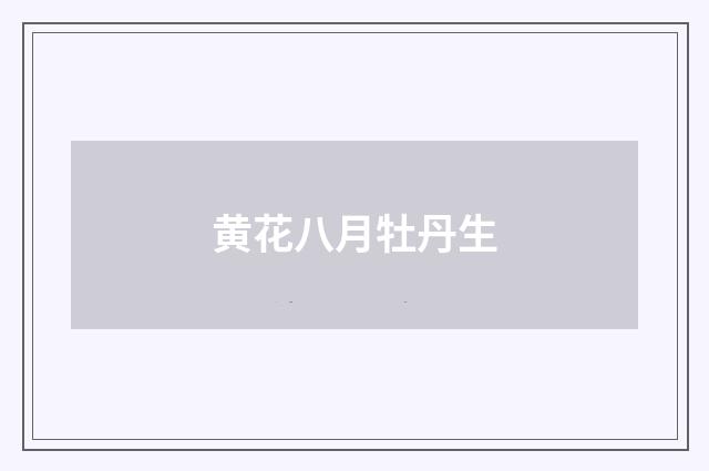 黄花八月牡丹生