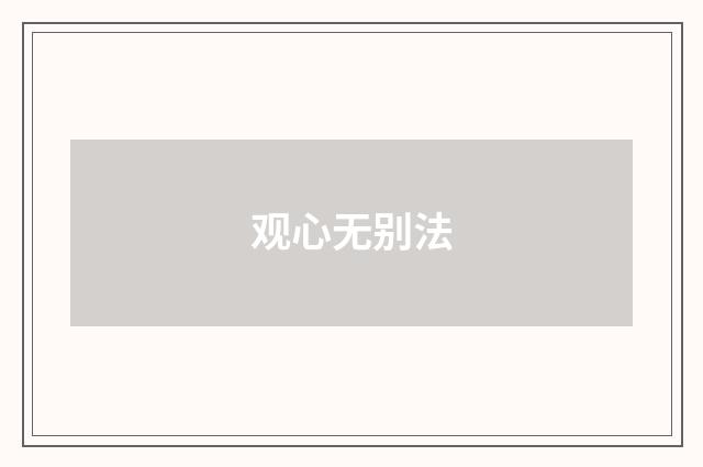 观心无别法
