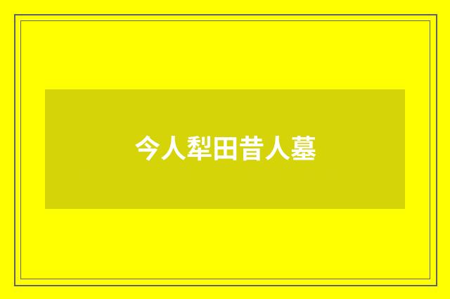 今人犁田昔人墓
