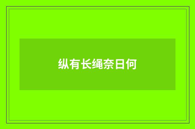 纵有长绳奈日何