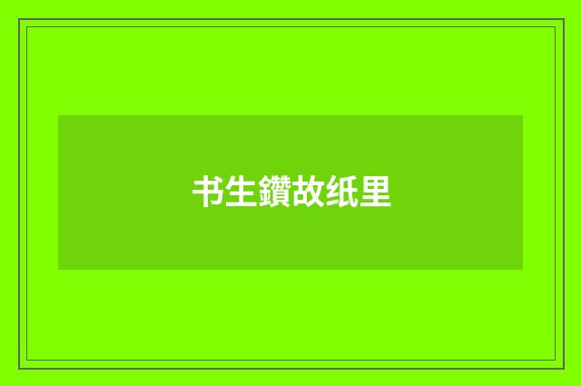 书生鑽故纸里