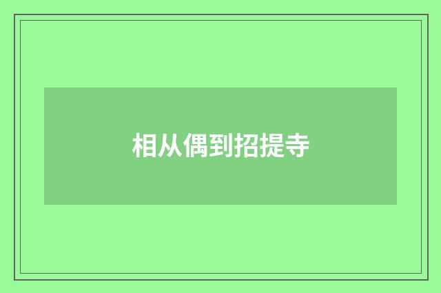 相从偶到招提寺