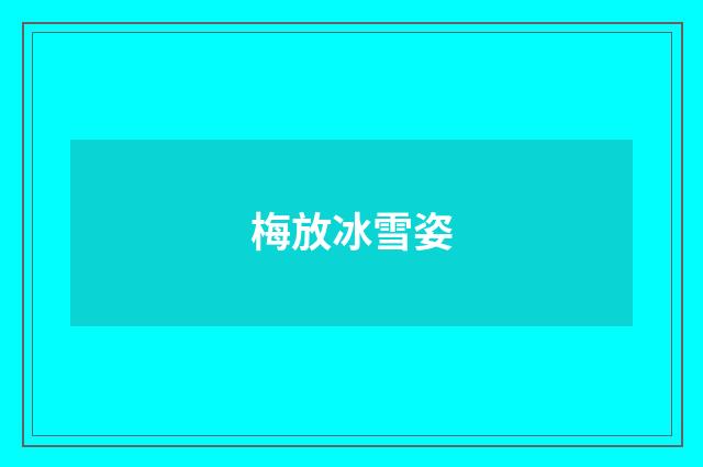 梅放冰雪姿