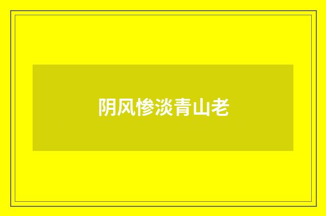 阴风惨淡青山老