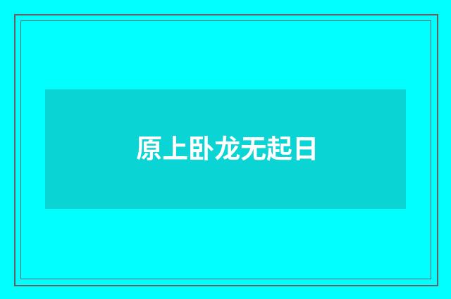 原上卧龙无起日