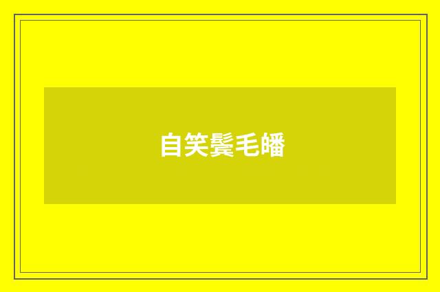 自笑鬓毛皤