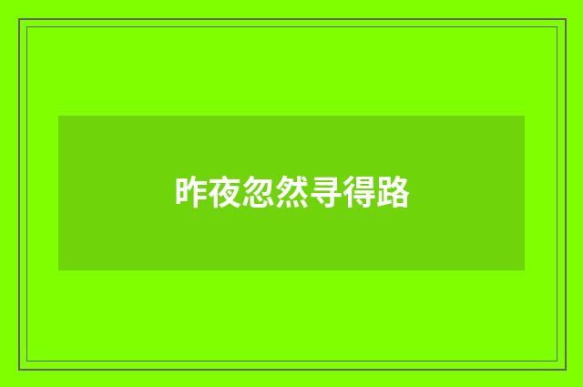 昨夜忽然寻得路