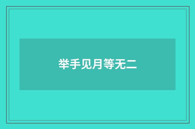举手见月等无二
