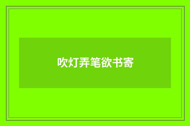 吹灯弄笔欲书寄