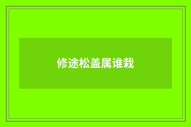 修途松盖属谁栽