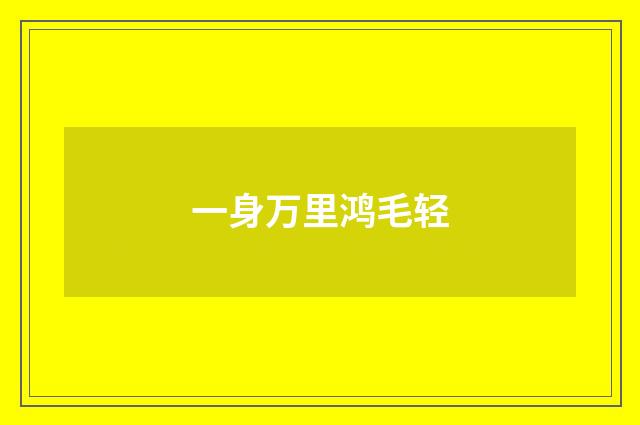 一身万里鸿毛轻