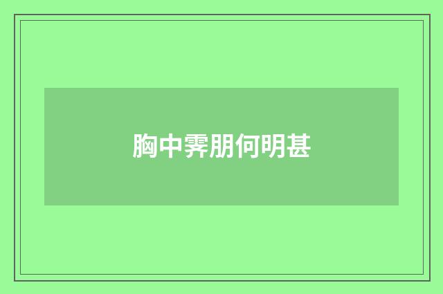 胸中霁朋何明甚