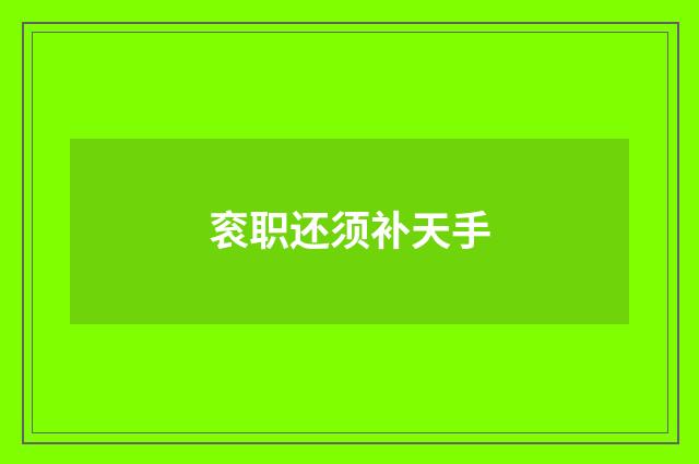 衮职还须补天手