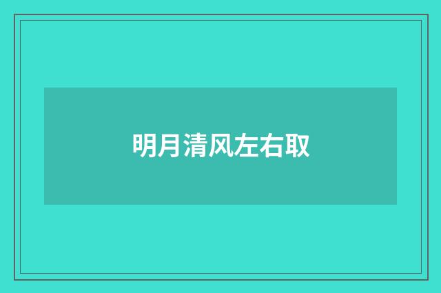 明月清风左右取
