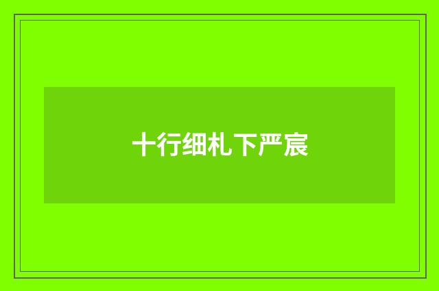 十行细札下严宸