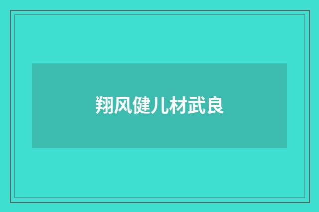 翔风健儿材武良