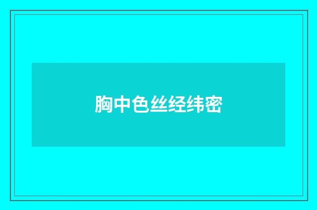 胸中色丝经纬密