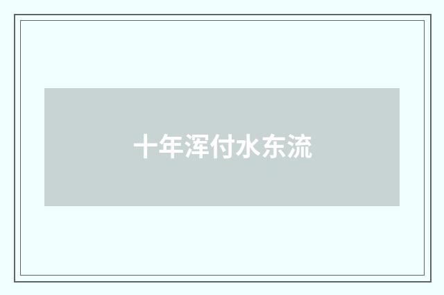 十年浑付水东流