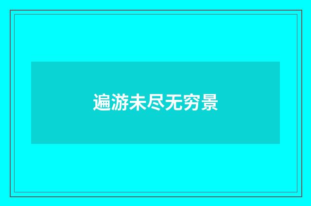 遍游未尽无穷景