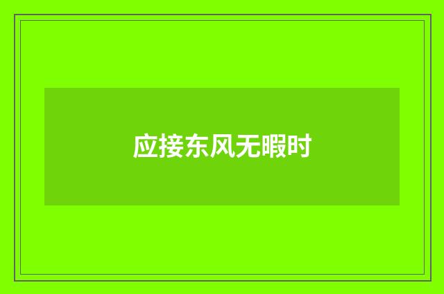 应接东风无暇时