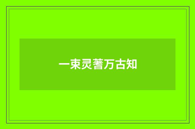 一束灵蓍万古知