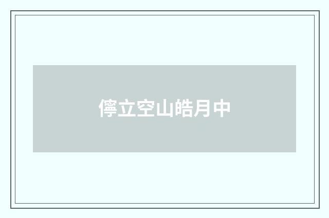 儜立空山皓月中