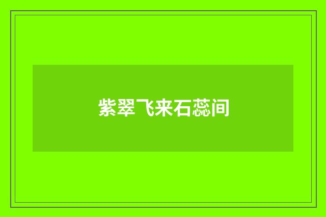 紫翠飞来石蕊间