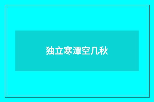 独立寒潭空几秋