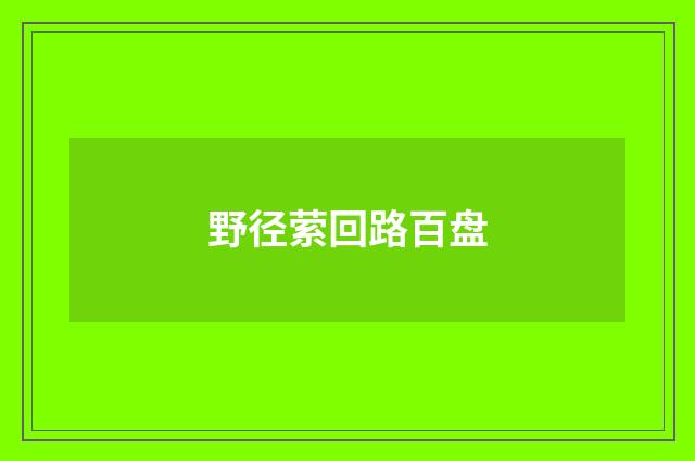 野径萦回路百盘