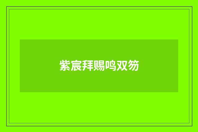 紫宸拜赐鸣双笏