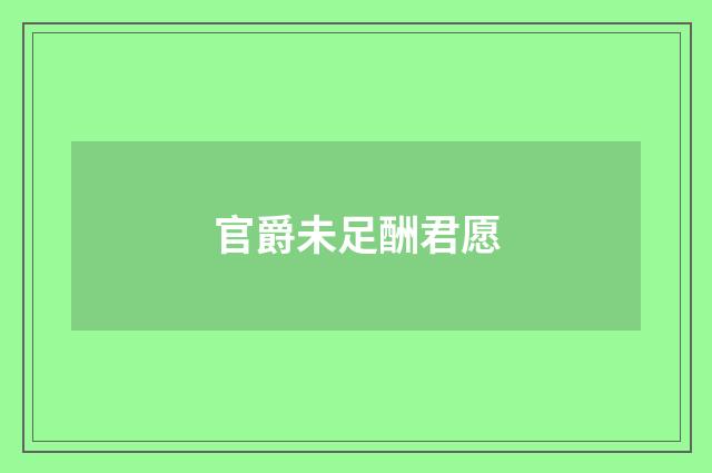 官爵未足酬君愿