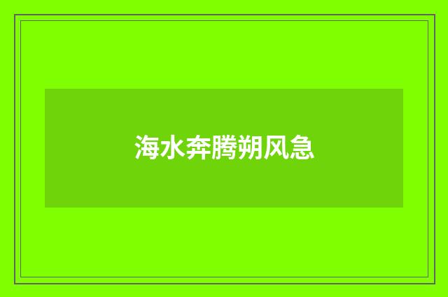 海水奔腾朔风急