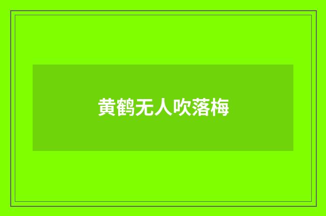 黄鹤无人吹落梅