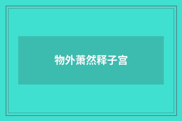 物外萧然释子宫