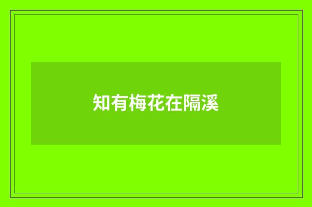知有梅花在隔溪