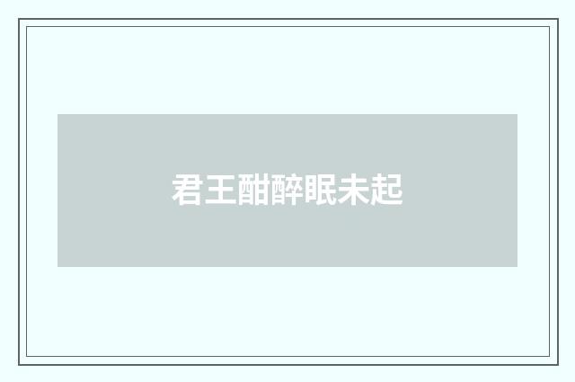 君王酣醉眠未起