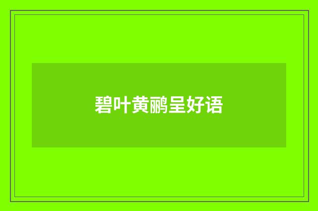 碧叶黄鹂呈好语
