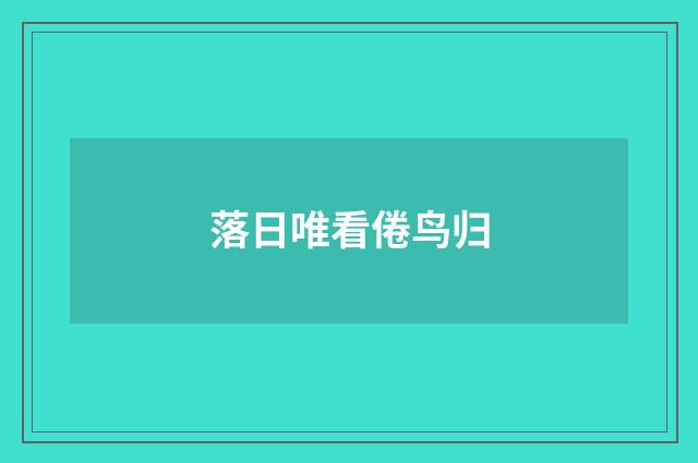 落日唯看倦鸟归