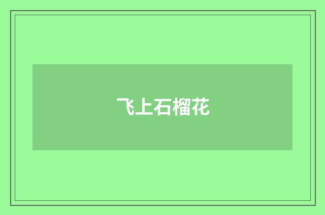 飞上石榴花